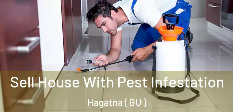  Sell House With Pest Infestation Hagatna ( GU )